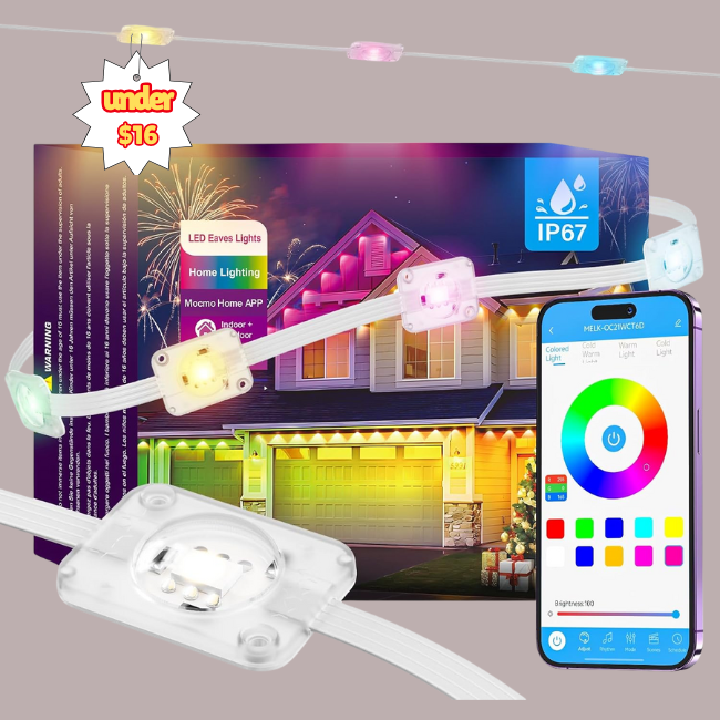 Permanent Outdoor Lights