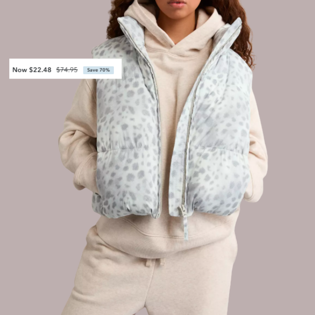 AE Puffer Vest under $22