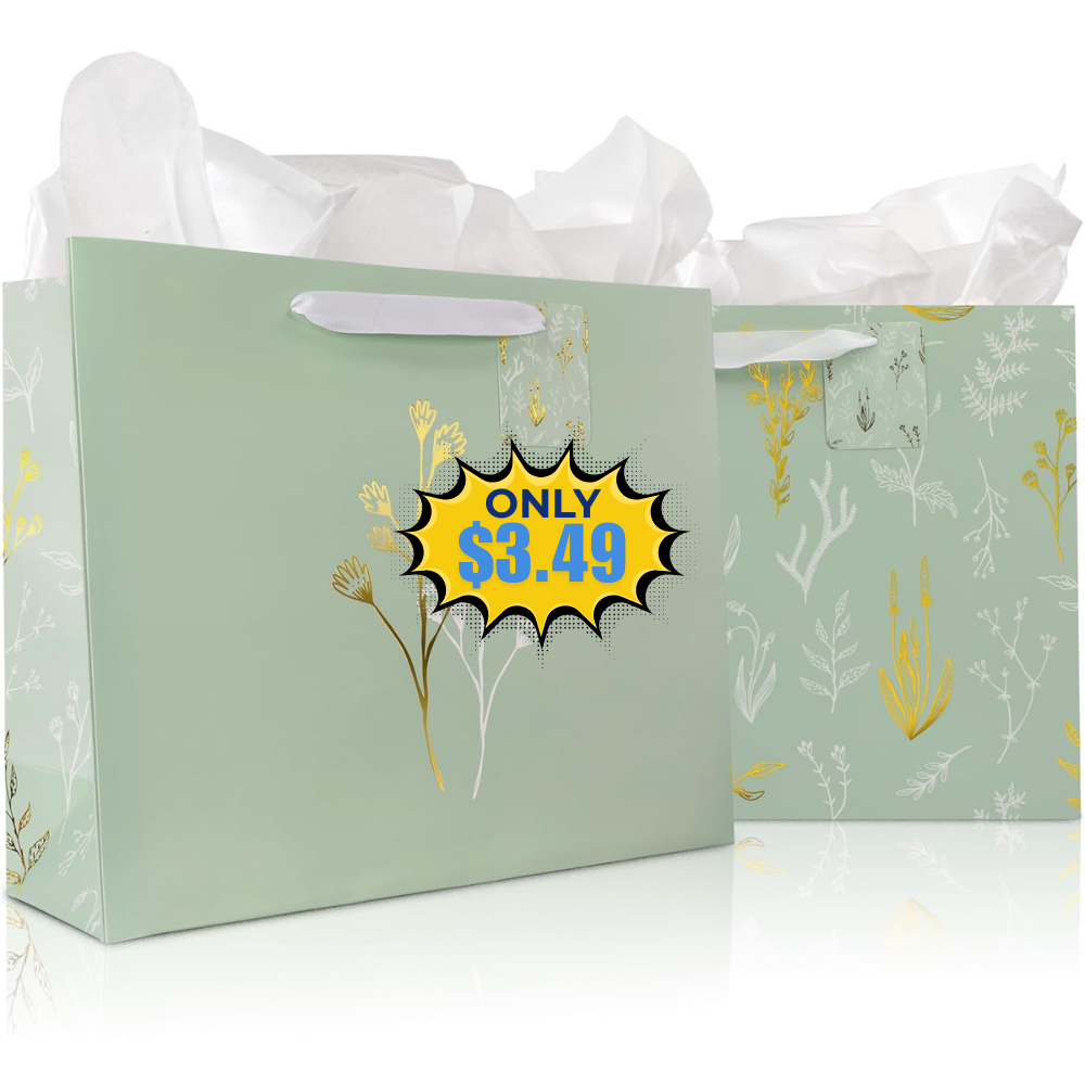 Beautiful Gift Bags Set of 2 – Large 13″ Sale: 50% Off Coupon at DealsFinders