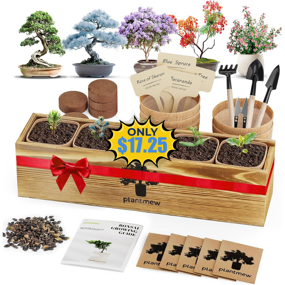 Bonsai Tree Kit Deal: Save 47% Off