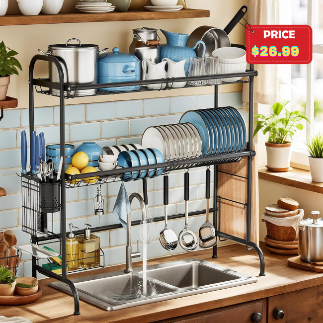 The current image has no alternative text. The file name is: Dish-Drying-Rack.png