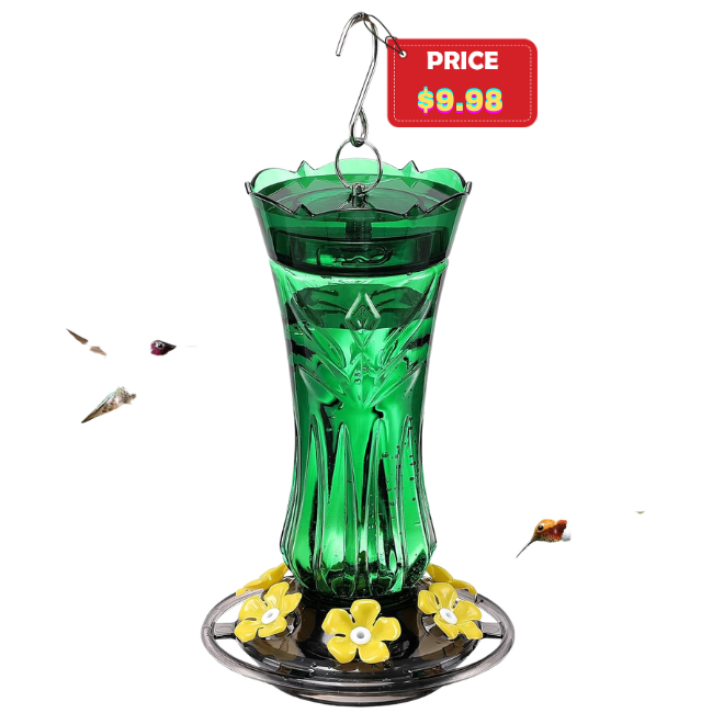 The current image has no alternative text. The file name is: Hummingbird-Feeder.png