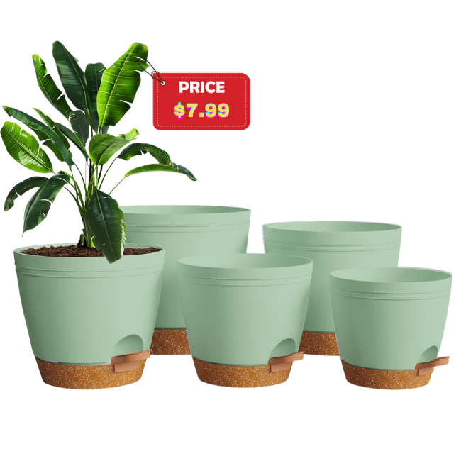 The current image has no alternative text. The file name is: Self-Watering-Pots-for-Indoor-Plants.png