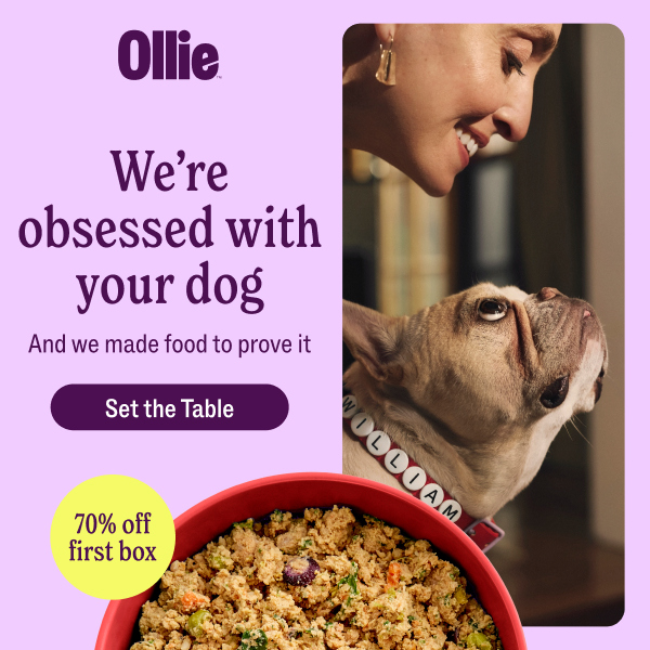 Ollie Flash Sale: 70% Off Dog Food + Free Welcome Kit