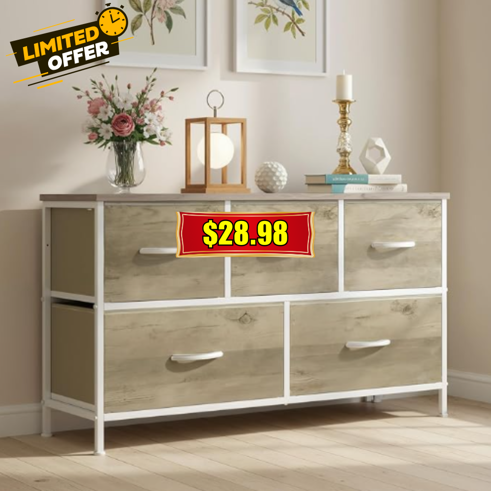 OLIXIS Dresser for Bedroom with 5 Drawers