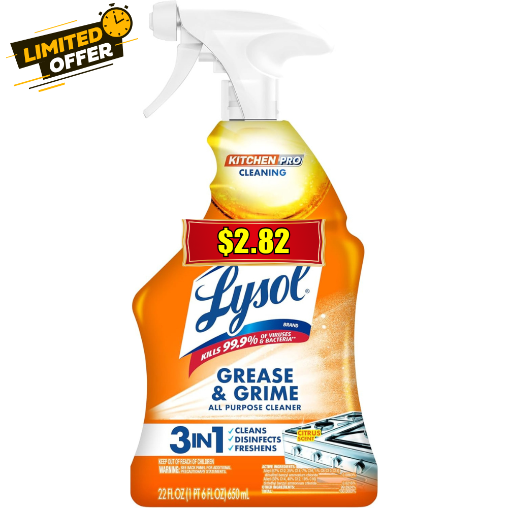 22oz Lysol Pro Kitchen Spray Cleaner