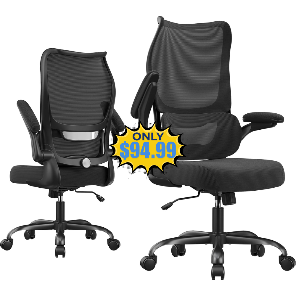 Ergonomic Desk Chair