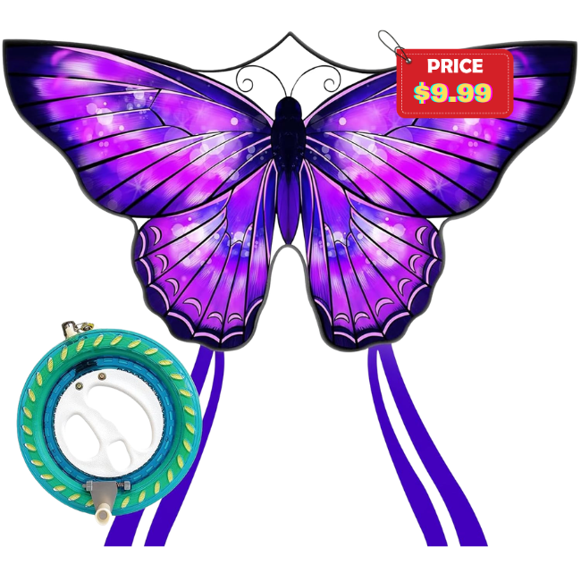 Butterfly Kite for Kids Sale: 60% Off