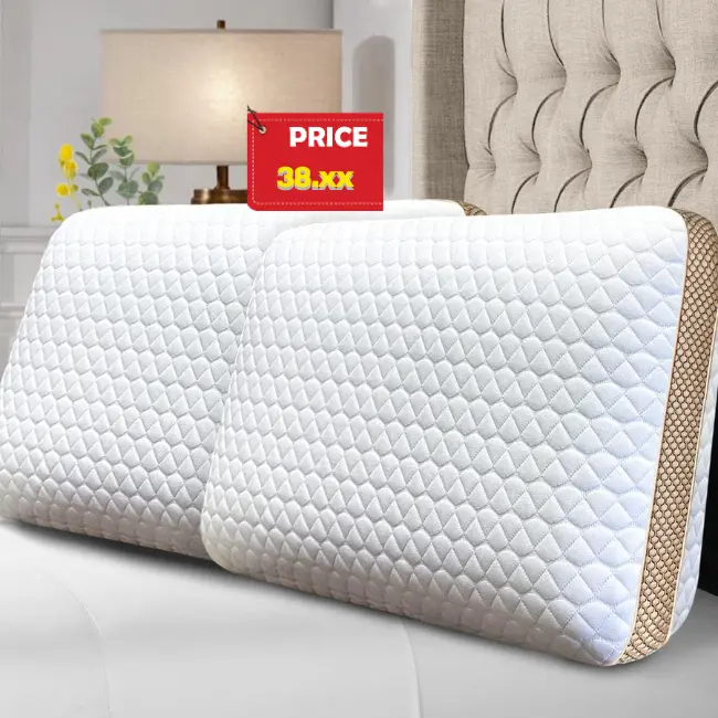 Memory Foam Pillows Standard Size Set of 2