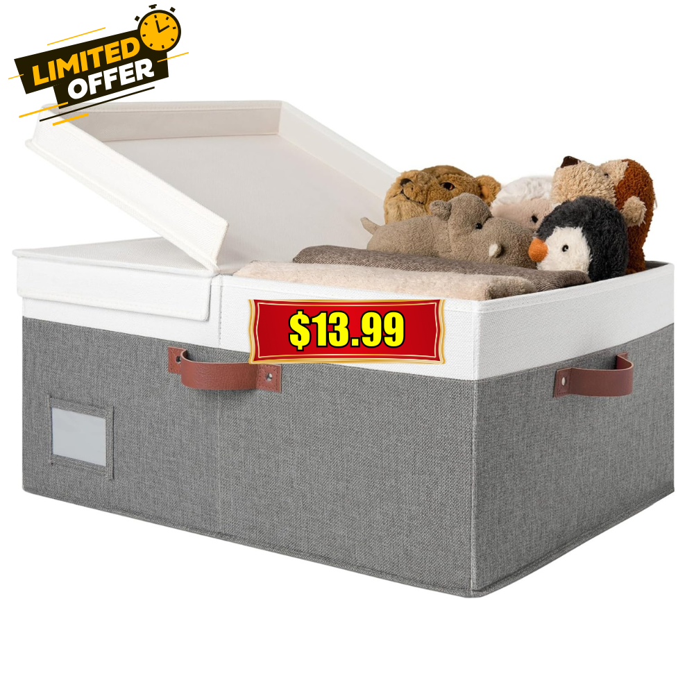 Storage Box with Lid