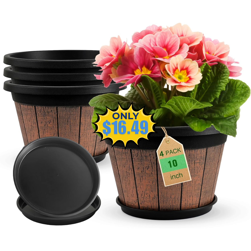 Quarut 10 inch Plant Pots Deal: 4 Pack with Promo Code