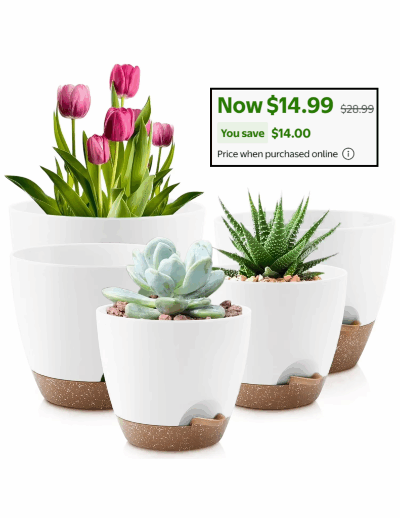 The current image has no alternative text. The file name is: Set-of-5-Self-Watering-Plant-Pots.png