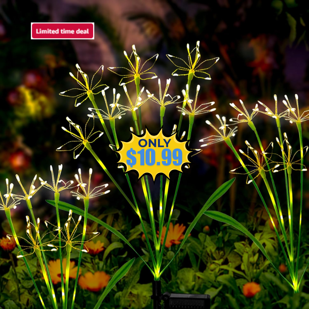 Solar Garden Lights 2-Pack Sale: 50% Off