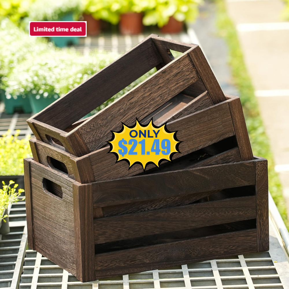 ELONG HOME Wooden Crate Deal: Save 50% at ELONG HOME