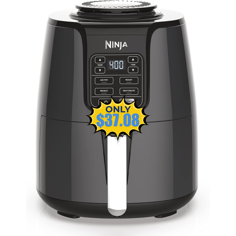 Ninja Air Fryer 4 QT Capacity Sale: Save 69% at DealsFinders.com