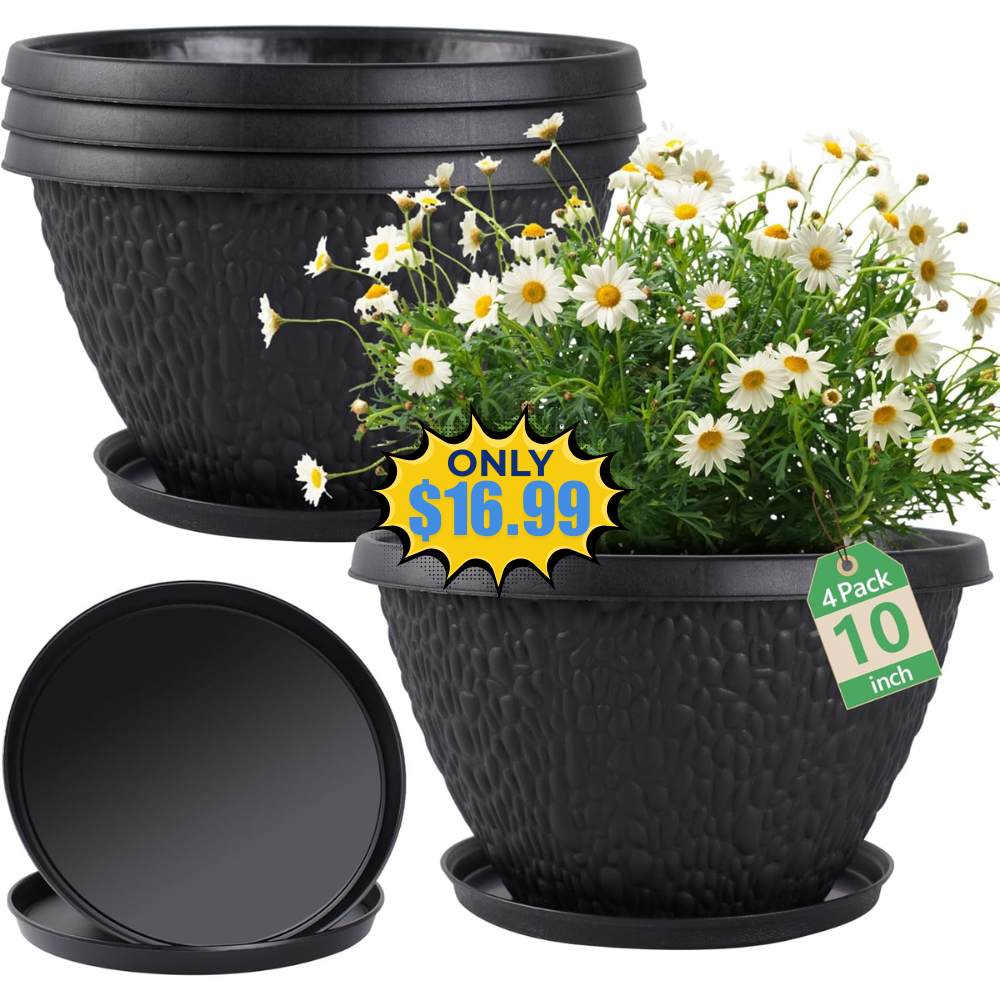4 Pack 10 inch Plant Pots Sale: Save 50% at Checkout