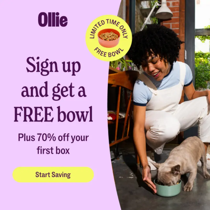 Ollie Last Chance Deal: 70% Off + FREE Bonuses at Ollie