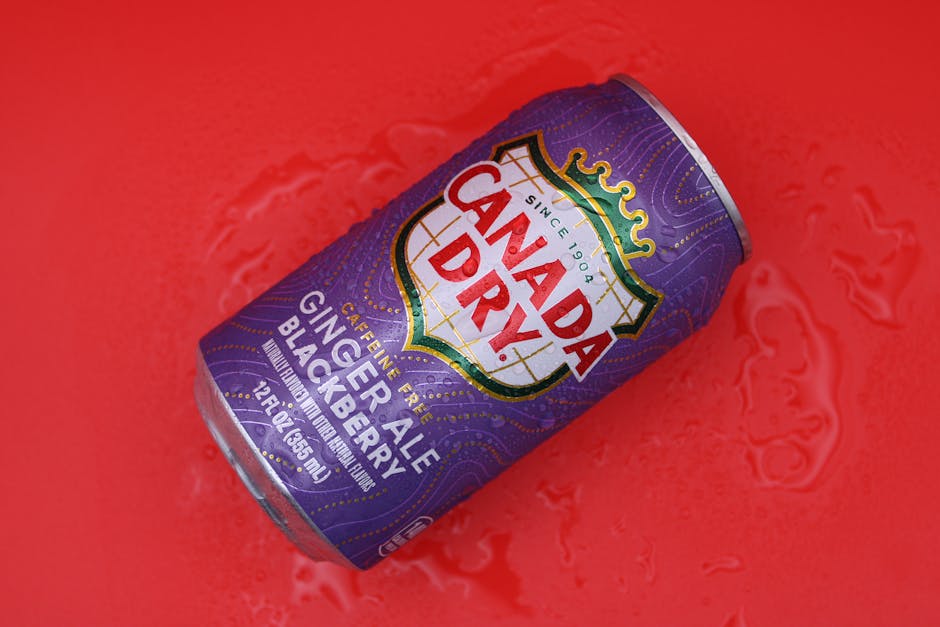 Canada Dry Soda 12-Pack for $4.75 Shipped at Amazon
