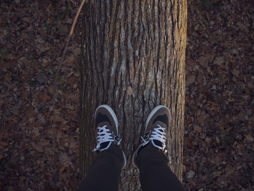 New Balance Shoes $69 (Reg $150)