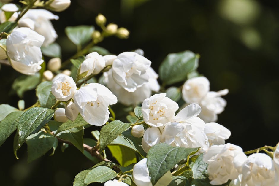 Philosophy Amazing Grace Jasmine EDT $31 Shipped