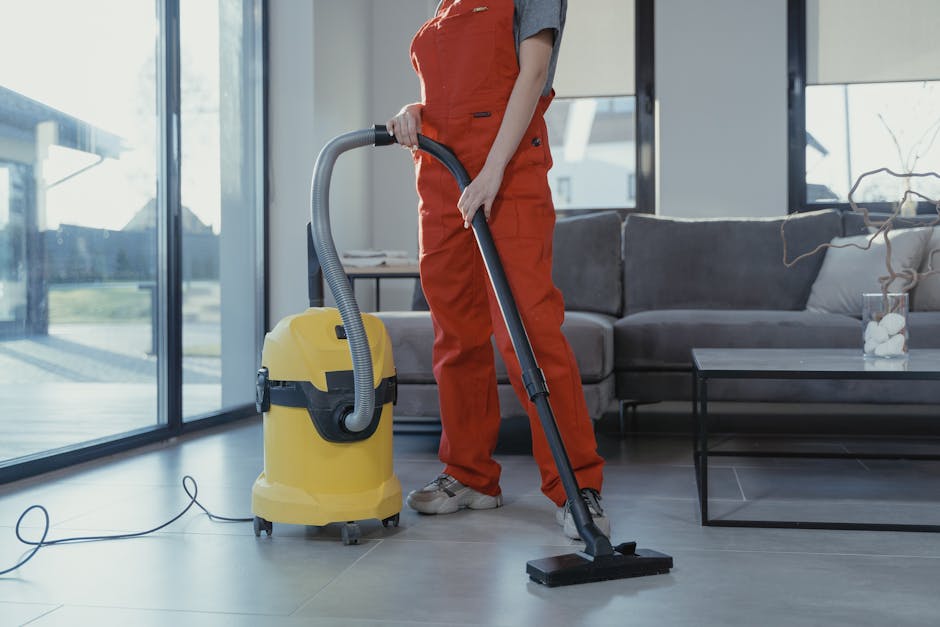 Karcher Window Vacuum $44!