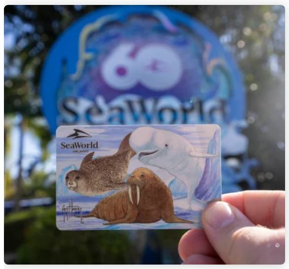 FREE Florida Teacher Card Unlimited Visits at SeaWorld