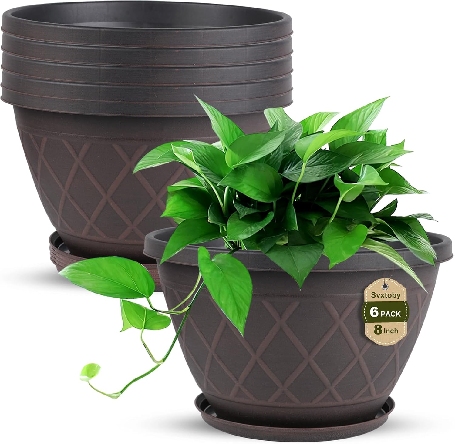 6 Pack 8 Inch Plant Pots Deal: Save 50% at SHOP HERE