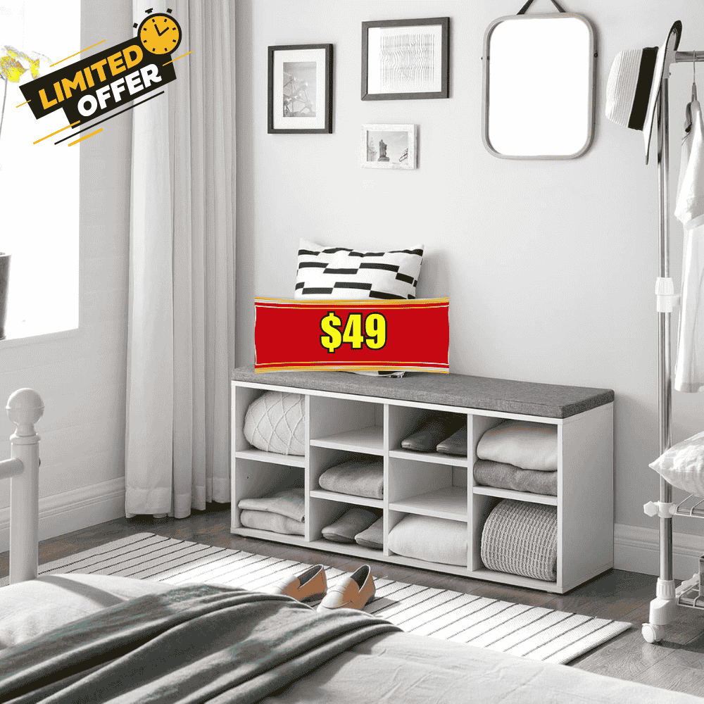 PayLessHere Shoe Bench Storage