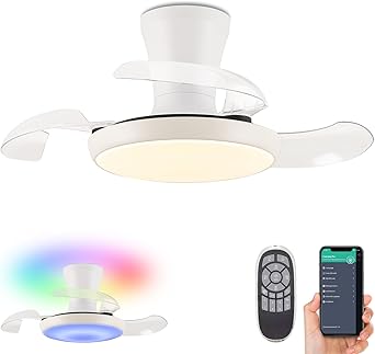 LumZeylith 30″ RGB Ceiling Fan with Light Cha ONLY $79.98 at Amazon