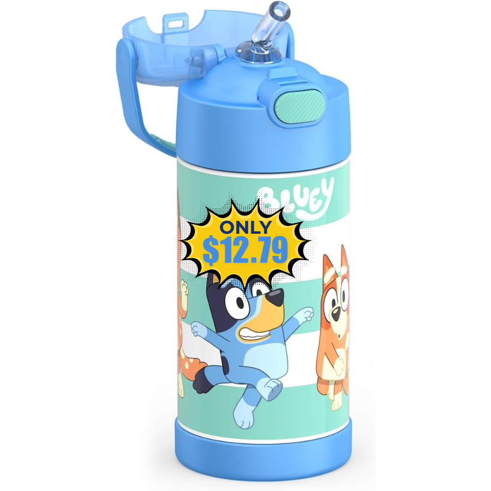 THERMOS FUNTAINER Water Bottle – 12 oz