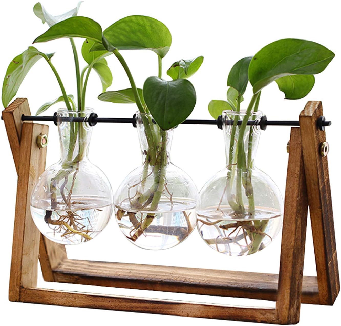 Plant Terrarium with Wooden Stand $9.91 at Amazon