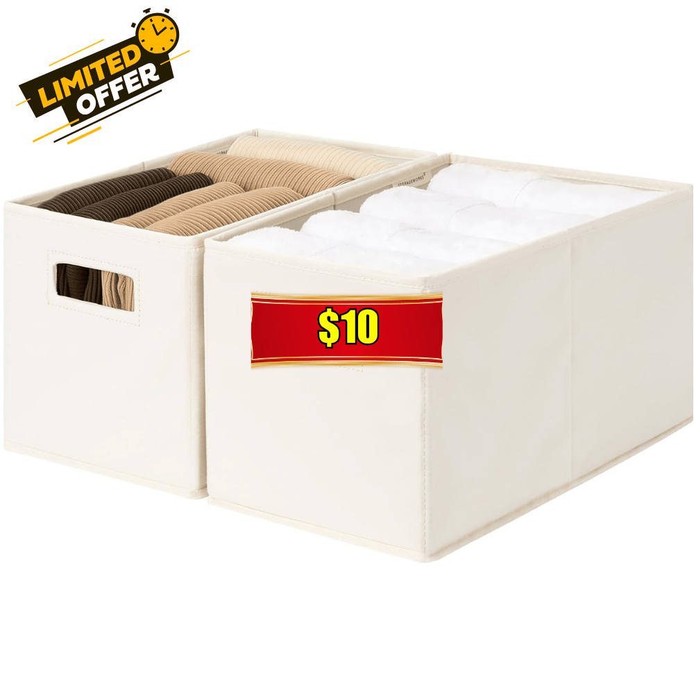 Fabric Storage Baskets, 2-Pack