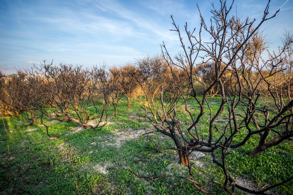 Keranique Hair Regrowth System $49 Shipped + FREE Gifts (Save $65