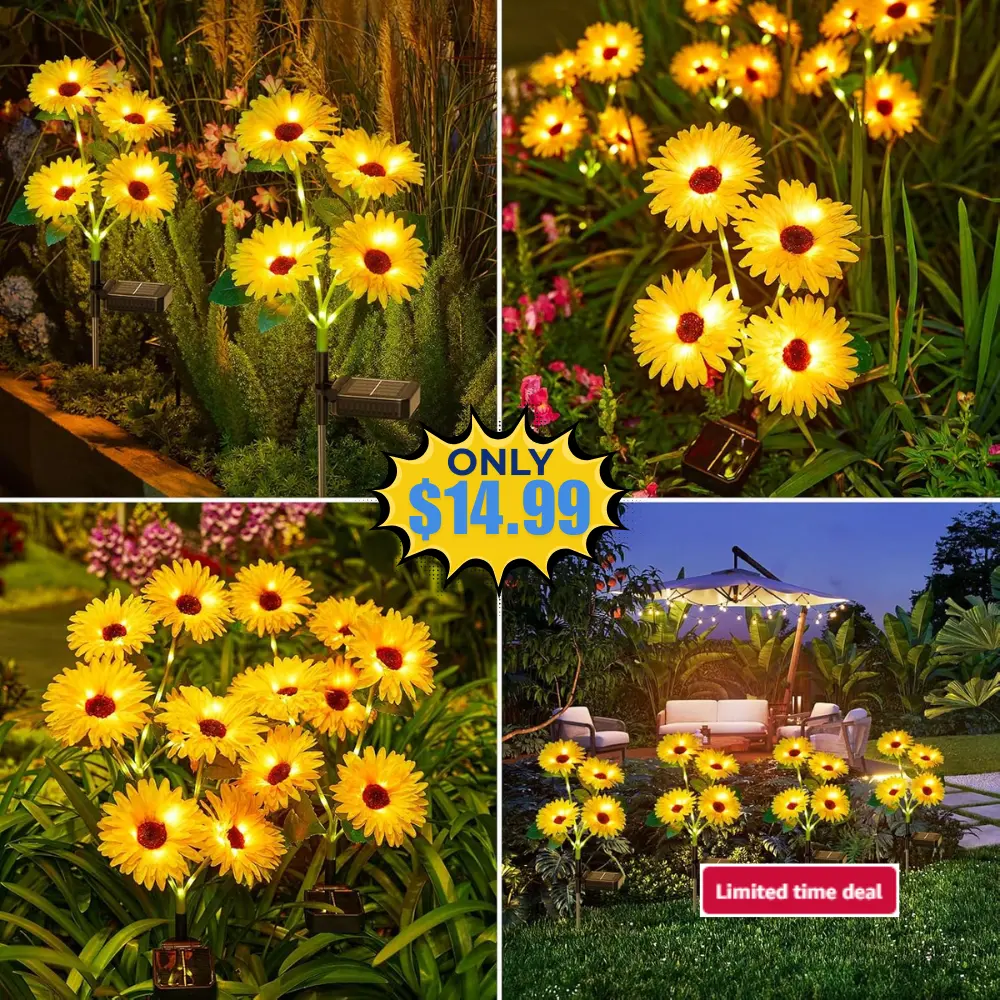 4 Pack Outdoor Solar Garden Lights