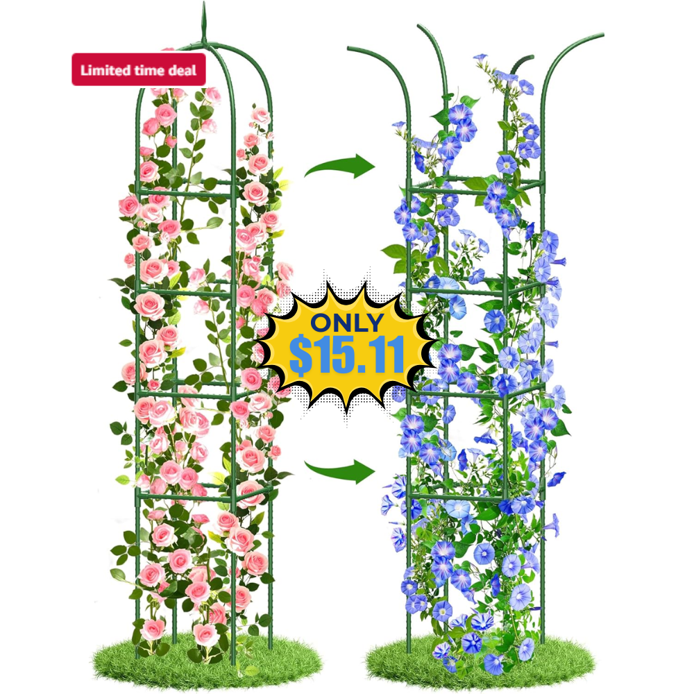 Climbing Plants Trellis Outdoor, 6FT