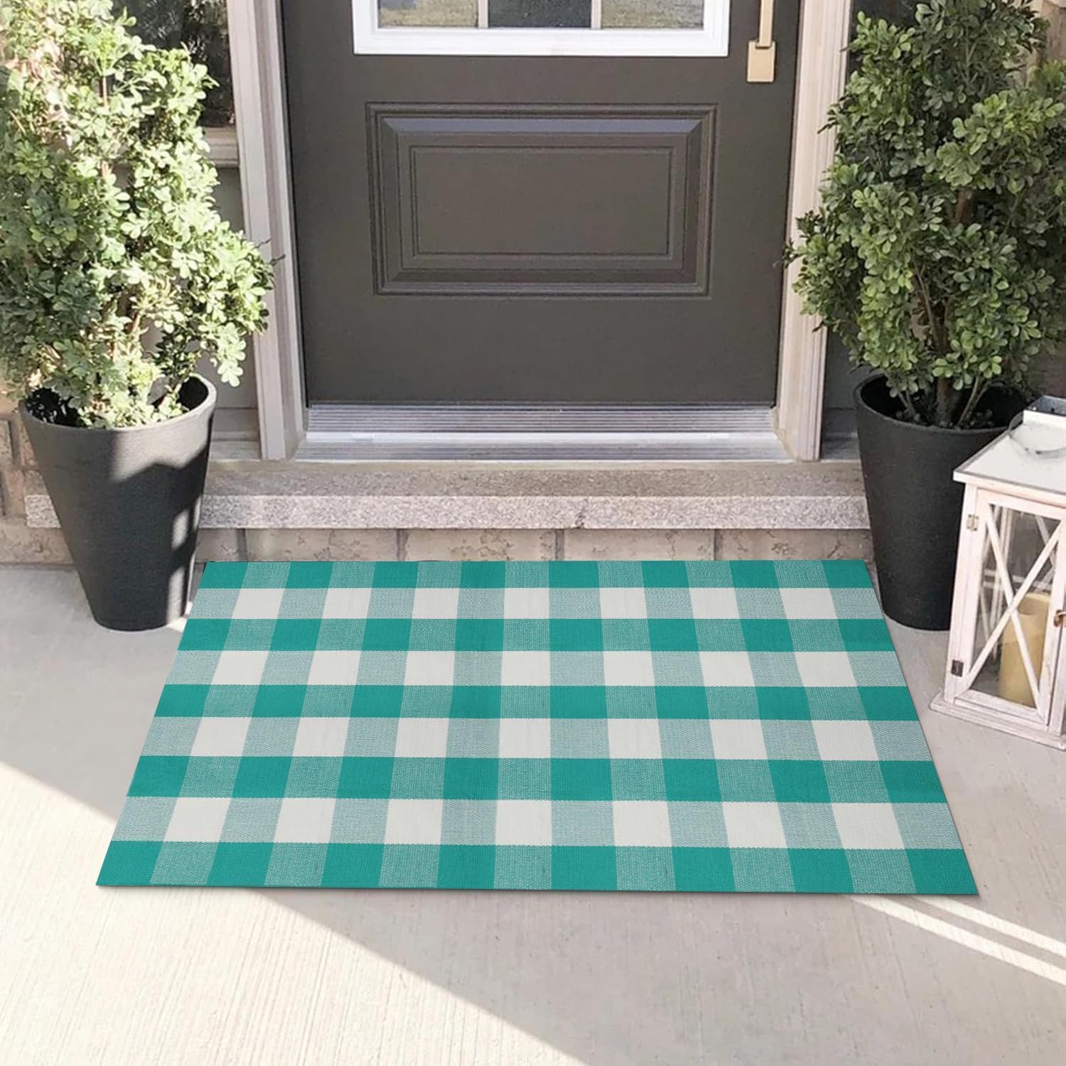 LYGLIGH Green and White Outdoor Rug, Buffalo Plaid Rug, 27.5″x43″
