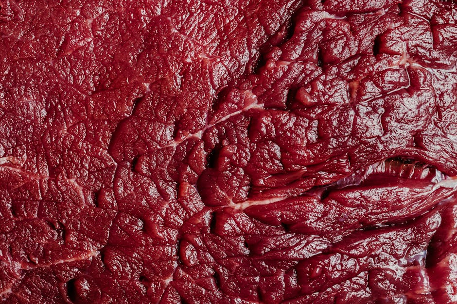 Jack Link’s x MrBeast 12-Count Beef Sticks $5.70 Shipped at Amazo