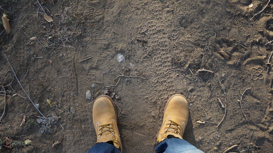 Timberland Women’s Boots