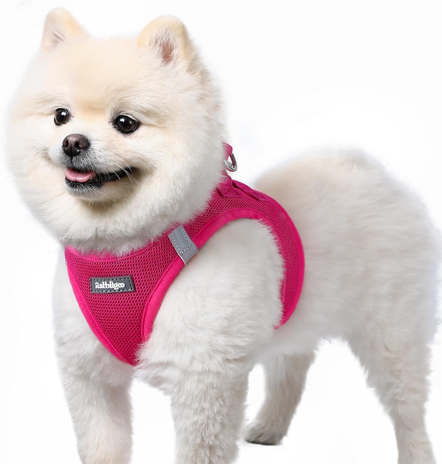 rabbitgoo Small Dog Harness, Step-in Soft Mesh Puppy Vest wi deal at Amazon