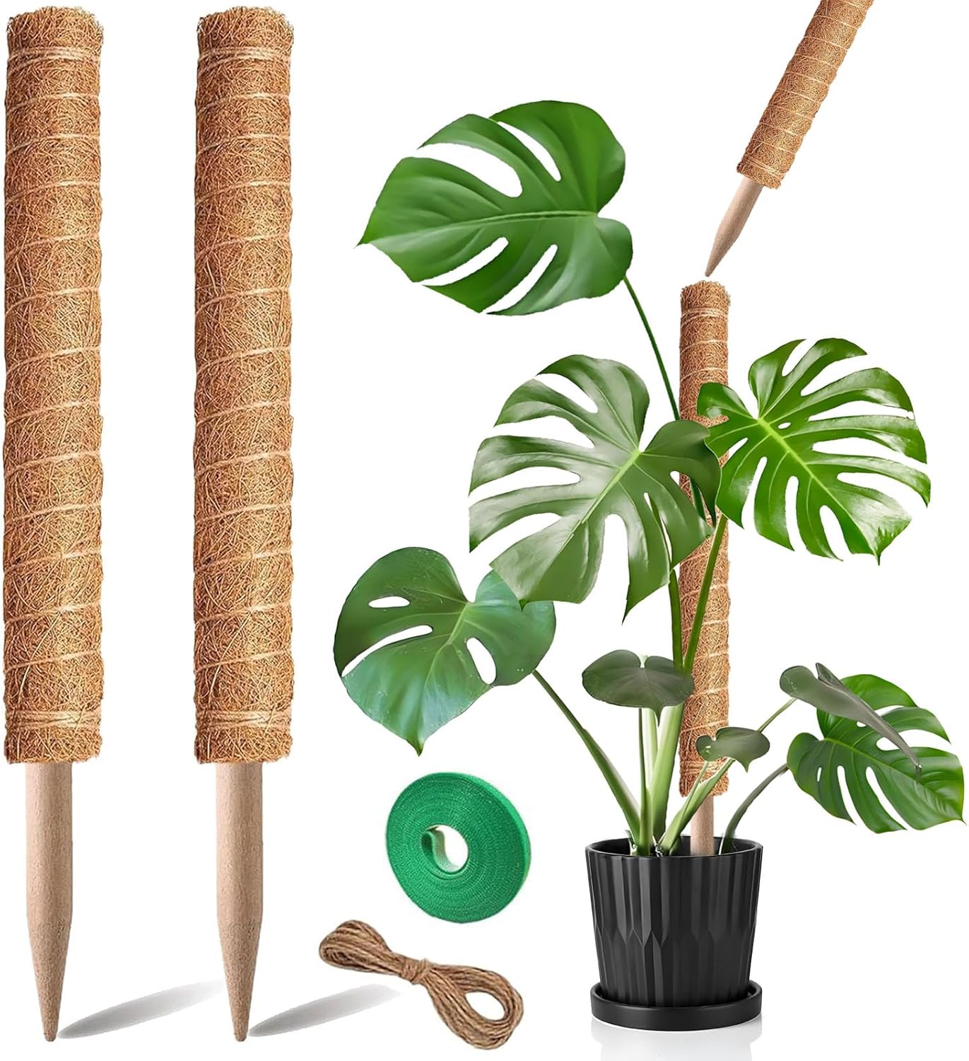 Moss Pole, 2Pack 21 Inch Plant Support Stakes for Indoor Pla deal at Amazon
