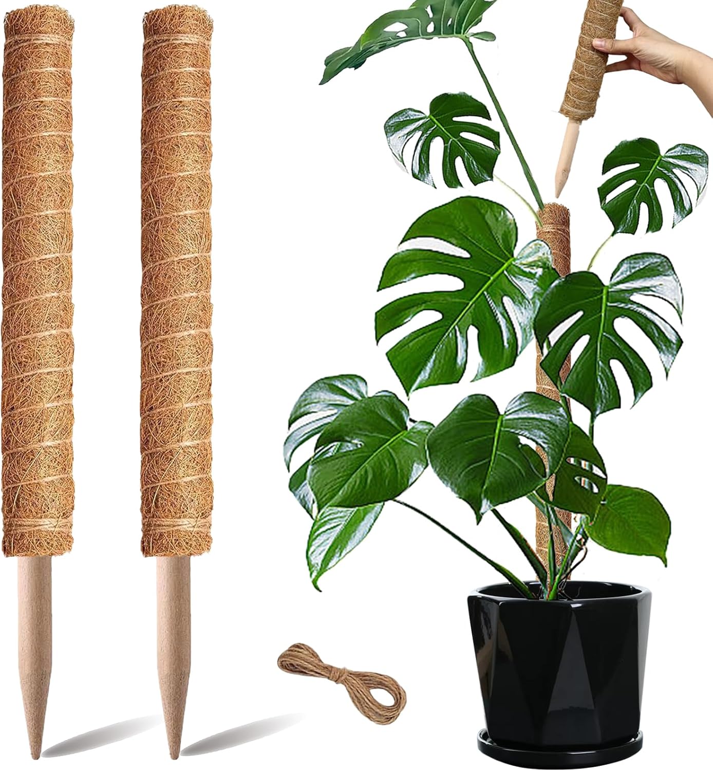 Moss Pole, 2 Pack 17 Inch Monstera Plant Support for Climbin deal at Amazon