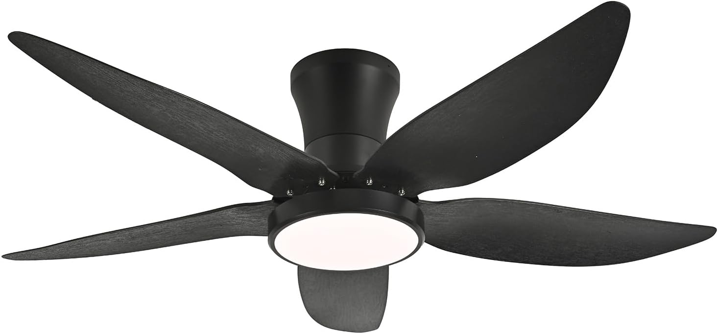Anyeark Ceiling Fans with Lights, Low Profile Ceiling Fan Li deal at Amazon