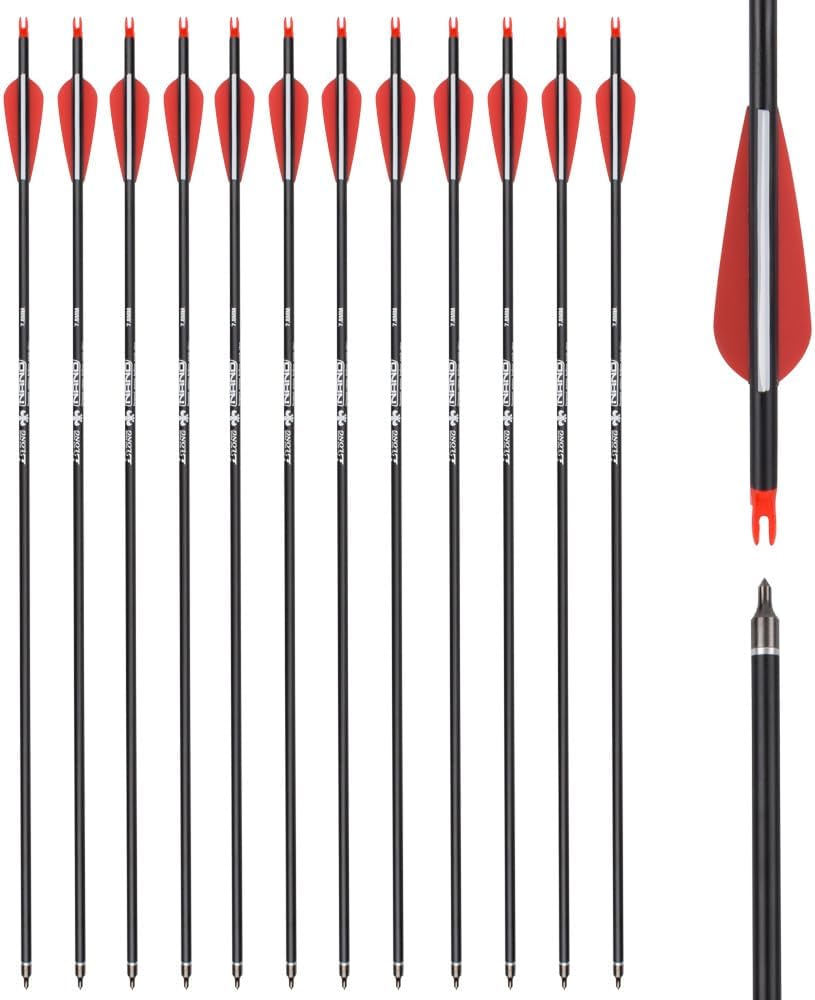 26 inch Carbon Arrow Hunting Arrows with 100 Grain Removable Tips