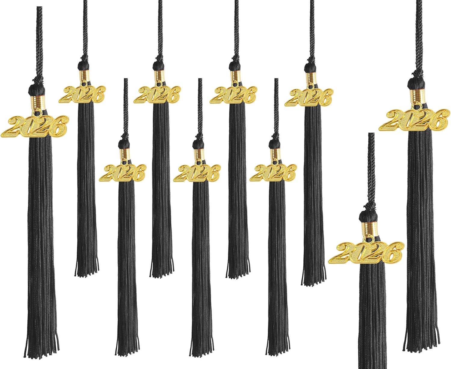 UIALECG 10 Pieces Graduation Tassel 2026 for Grad Cap and Gown,Bl