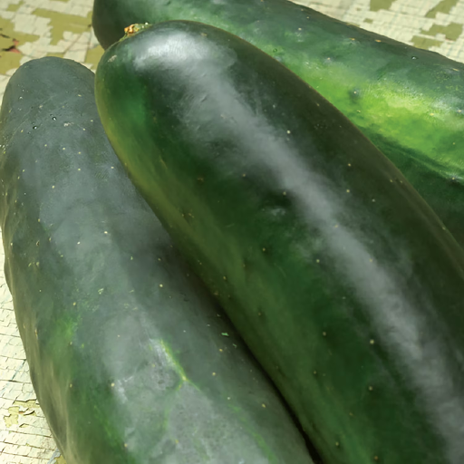 Walmart Home Pick: American Seed Cucumber Poinset 76 Annual Veget