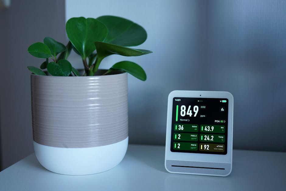 Small Air Purifier