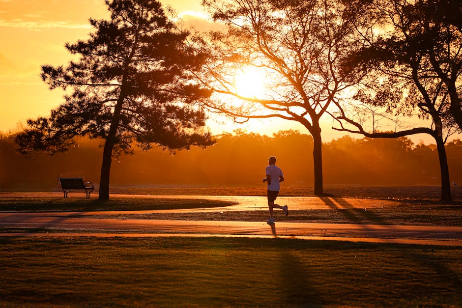 RUN! Parke x Target Collection Now Available