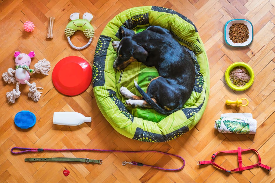 Roundup of The Latest Target Clearance Finds in Pet