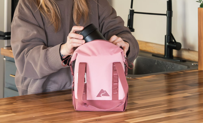 Ozark Trail Finds Only Deal: $7.94 at Walmart