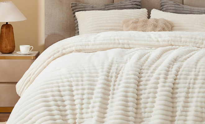 3-Piece Queen Comforter Set Promo: Limited-Time Deal